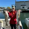 Jack - @jackislanders14 - TikTok