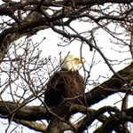 Jack Israel - @jjman3636 - Instagram