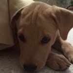 Jack.ito - @jack.ito - Instagram