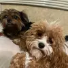 Jackito - @jackiegigi07 - TikTok