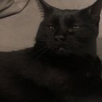 Jack Jacoby - @jacoby.jack - Instagram
