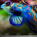 Jack Janes - Facebook