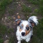 Jack Janzen - Facebook