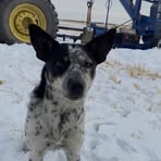 Jack Janzen - Facebook