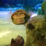 Jack Jonathan Janzen - @jack.janzen.338 - Instagram