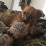 Jack Jeckel - @the.non.violent.j - Instagram