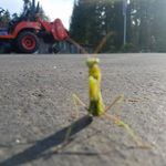 Joe Miller - @jack_jeckel_73 - Instagram