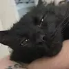 jacksonjeffords - @jacksonjeffords - TikTok