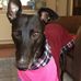 Jackie Jenks - Facebook