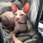 Merliny Jericho Jack - @merlinyjerichojack - Instagram