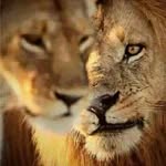 Jack jessen - @jackjor99 - Instagram