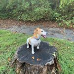 Jack jester - @jack_jester2006 - Instagram