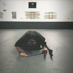 Jack Nix Jester - @eachnewdawn - Instagram