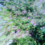 jackline - @jackline.jimson - Instagram