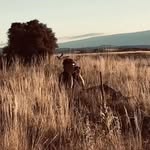 Jack Johansson - @blurred__visions_ - Instagram