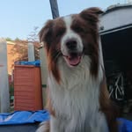 jack.jolin7 - @jack.jolin7 - Instagram