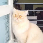 Jack Jonas - @jack.jonas.5623293 - Instagram