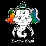 Jack Jonas - @_karmakush - Instagram