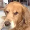jackcjudkins - @jackcjudkins - TikTok