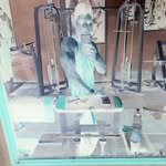 jack kahn - @ja.4783 - Instagram