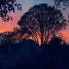 Jr - @jackkannoff - TikTok