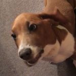 jack - @jack.katz_ - Instagram