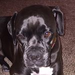 Jack Katz - @jackie_bauer_katz.mel - Instagram