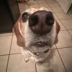 Jack Kaye - @jackkaye_ - Instagram