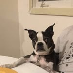 Jack Keeler - @jackeeler - Instagram