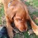 Jack Keeler - Facebook