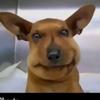 Jack Keeler - @jack.keeler - TikTok