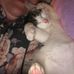 Jack squirt Keeler - Facebook