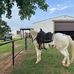 Jackson Keeler - Facebook
