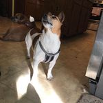 Jack Asher Keeney - @jack._.keeney - Instagram