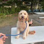 Jack Keeney - @jackabroad25 - Instagram