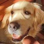 Jack Kempster - @jackkempster2008 - Instagram