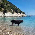 Jack Kennard - @jackkennardphotos - Instagram