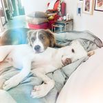 jack kerouac + maverick birk. - @thebrothersbirk - Instagram