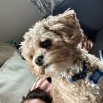 Jack Kerouac the Road Dog - @jackkerouacroaddog - Instagram