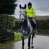 Kerry Jack - @kerry.jack3 - TikTok