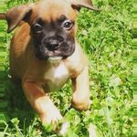king_bedbug - @jackkesterson - Instagram