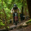 Jack Ketterer - @jack_mtb25 - TikTok