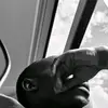Jack key 🎹 - @jack.key93 - TikTok