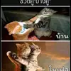 Jackkey - @jackkey3 - TikTok