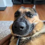 Jack Kidd - @jackkidd__ - Instagram