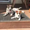 Jack Kiely - @jack.kiely.04 - TikTok