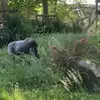Jack Kier - @jack.kier - TikTok