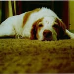 Jack Kiger - @jackkiger - Instagram
