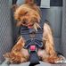 Jack Kiger - Facebook