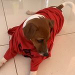 Jack Kilroy - @kilroy1182 - Instagram